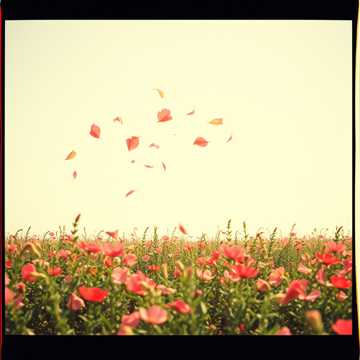 Cover art for Letzter Abschied V2 by Masterchiefkk