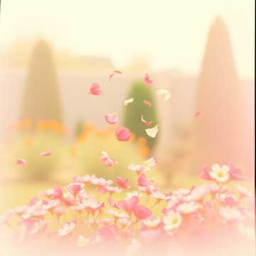 Cover art for Letzter Abschied V2 by Masterchiefkk