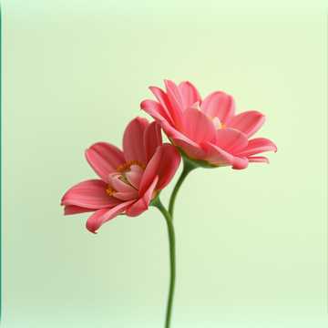 Cover art for Abi y un 8 de marxo by Alan Marcelo Gomez