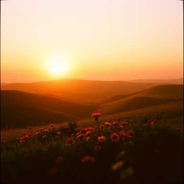 Cover art for Rise and Shine by Bishop motitimi