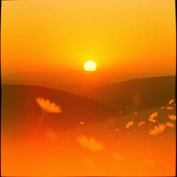 Cover art for Rise and Shine by Bishop motitimi