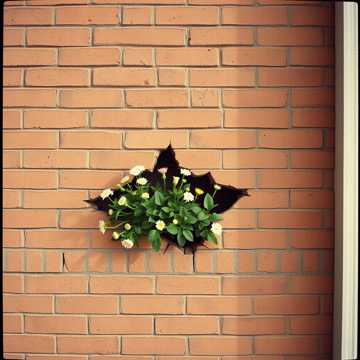 Portada de din noroi in lumina por Florentin Daniel