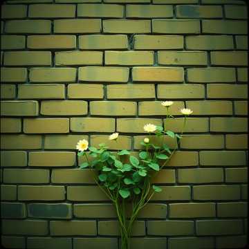 Portada de din noroi in lumina por Florentin Daniel