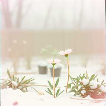 Cover art for My Forever by suvashini karuppan