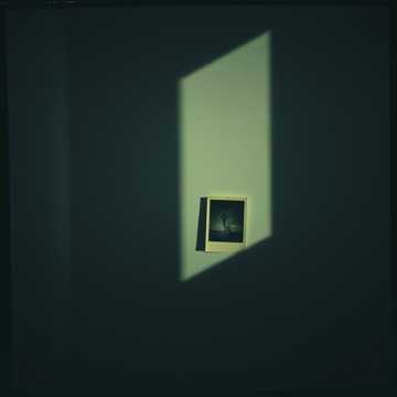 Cover art for Fading Shadows by apple_000583.c626b287fc844