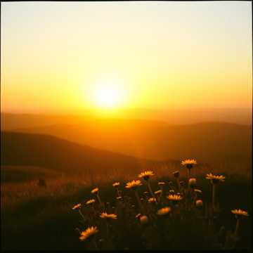 Cover art for Alegeri pentru viitor by VirtualMusic2