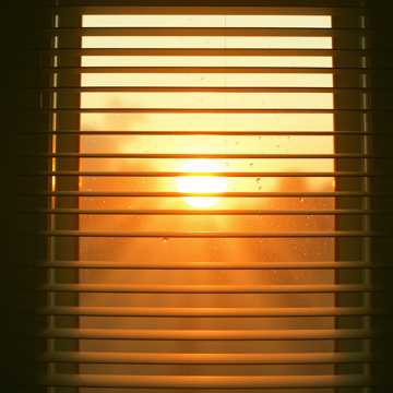 Cover art for Bless You by Asra Emamgholi