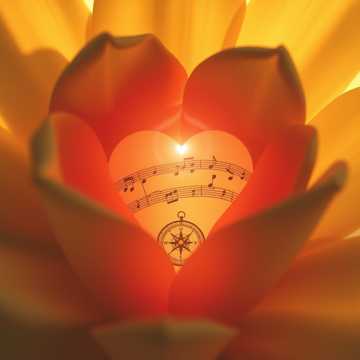 Cover-Art für „Optsprezece ani cu Daniela” von florinrusudlv@yahoo.es