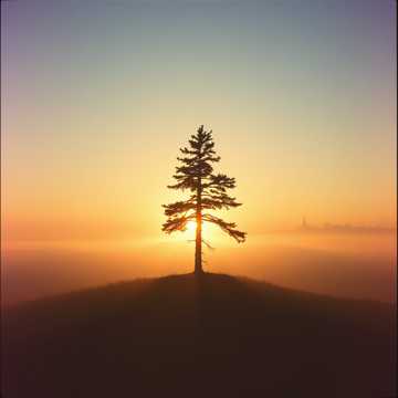 Cover art for W głąb ciszy by Pawel Brozynski