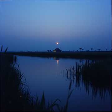 Cover art for Assetou Boro by Boro Gaoussou