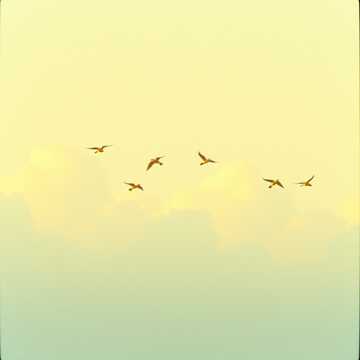 Cover art for Gloria a Dios by Unknown Artist