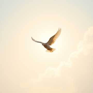 Cover art for Gloria by Unknown Artist