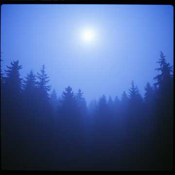 Cover art for masih by udinmilitia