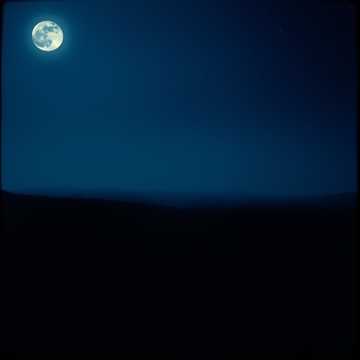 Cover art for masih by udinmilitia