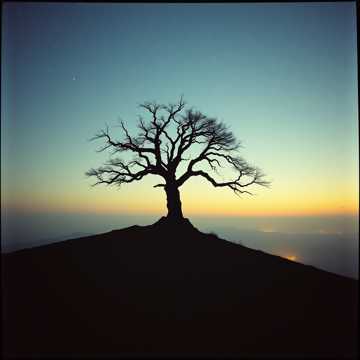 Cover art for Ancestral Echoes by Zion Matovu