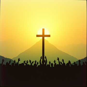 Cover art for They Sold the Land by tikitakaresultsfootball@gmail.com