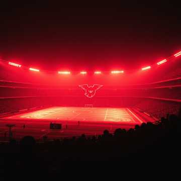 Cover art for dgvv by Irina Talmaci