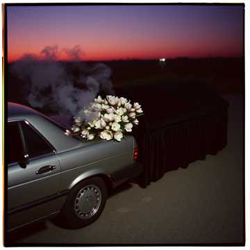 Cover art for Magnolias by Fatou Gikineh