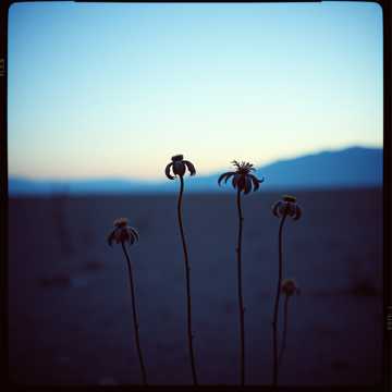 Tattoos by Agus art creator의 Ujung lelah 커버 아트