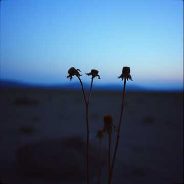 Cover-Art für Ujung lelah von Tattoos by Agus art creator