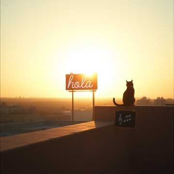 Cover art for hola by sayos35207@kurstore.com