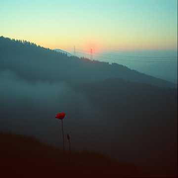 Cover art for bella ciao by feruz alimov