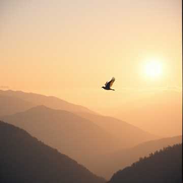 Cover art for Beyond the highest of skies by Angelo_merte@gmx.ch