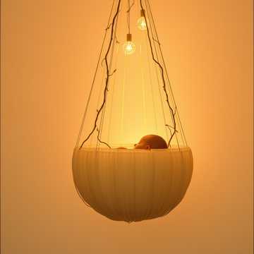 Cover art for Cordón invisible by Ruth Ana López Calderón