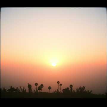 Cover art for Sessiz Ufuklar by Baver Yel